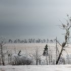 baraque michel im winterkleid