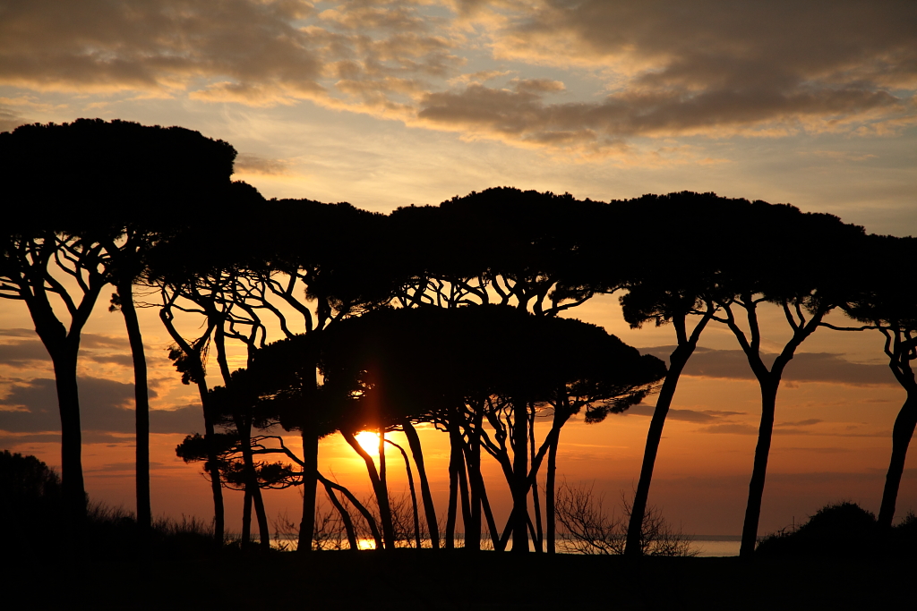 Baratti e Populonia