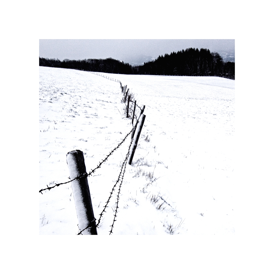 < barb wire fence I >