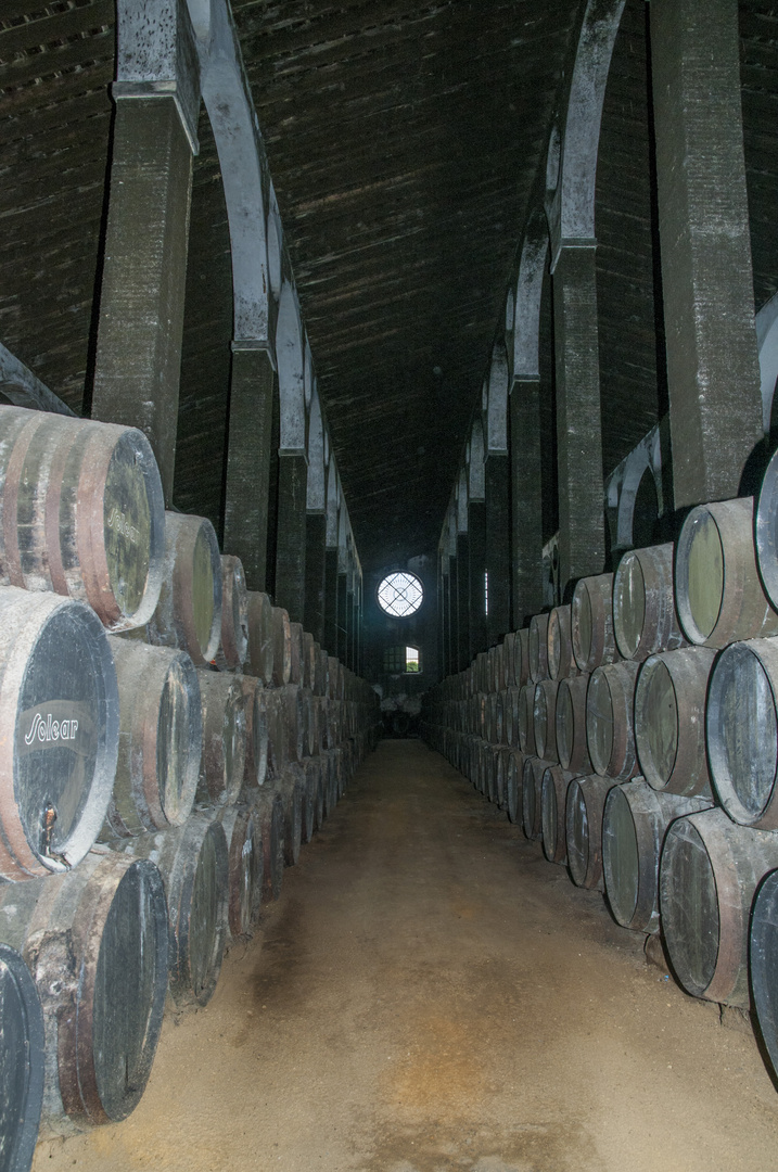 Barbadillo - Bodega Manzanilla Solear