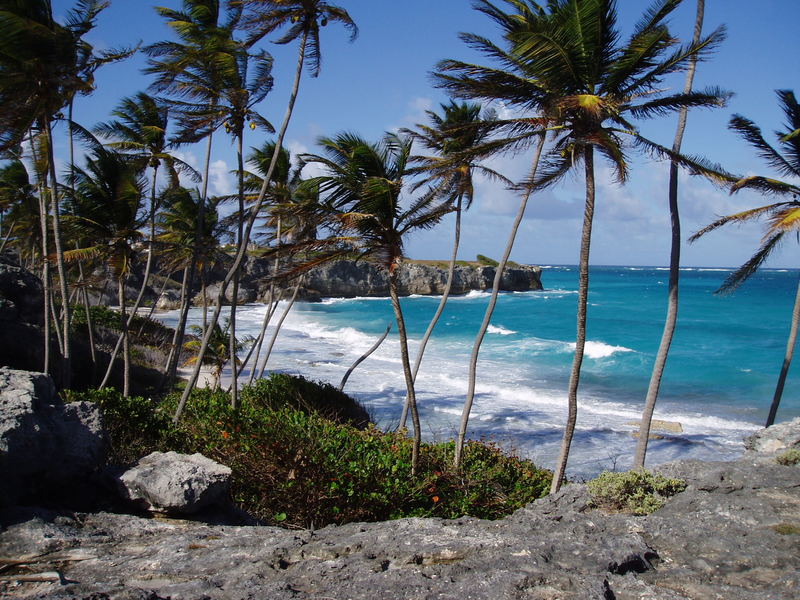 Barbados - noch einmal erleben