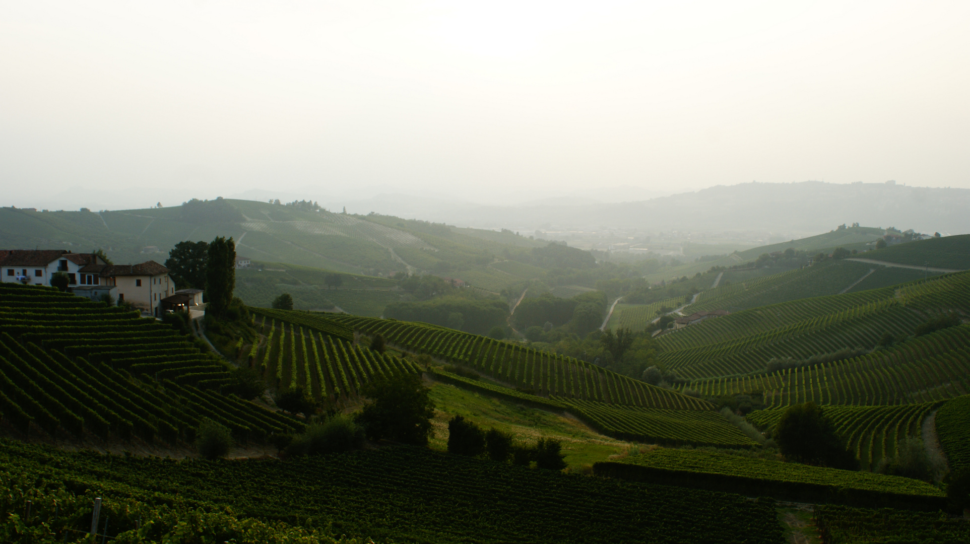 Barbaresco