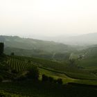 Barbaresco