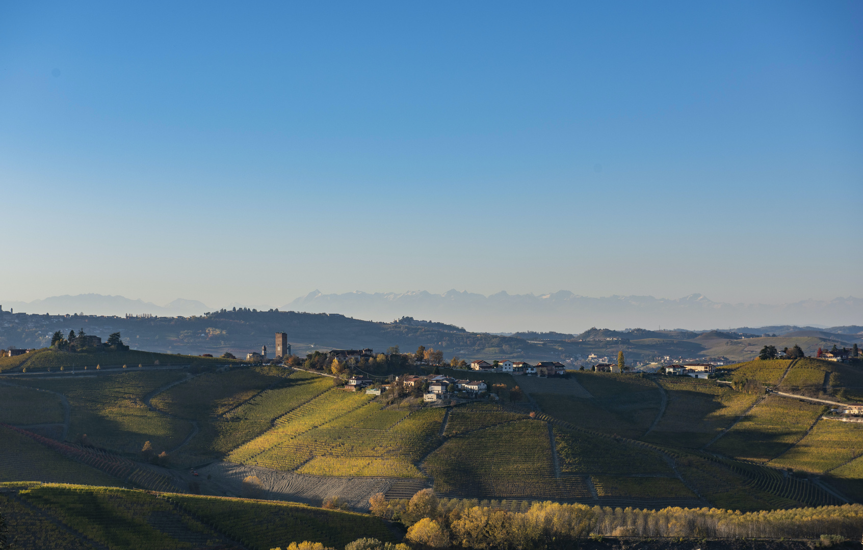 Barbaresco