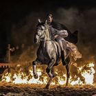Barbarossa-Spectaculum / Feuerreiterin