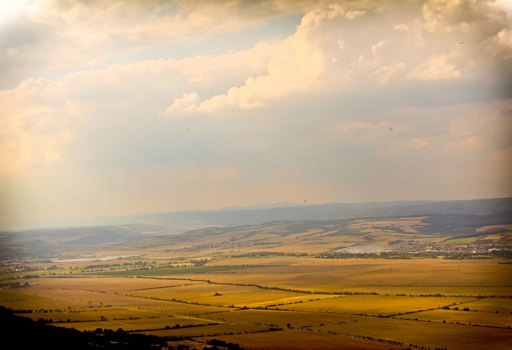 Barbarossas Blick von Ivonne Schmitt 