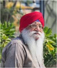 Barbe blanche, turban bleu et rouge