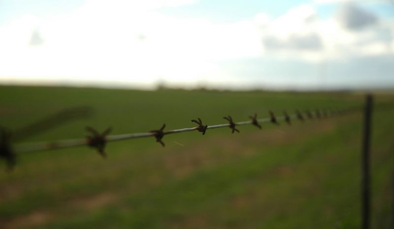 Barbed Perspective