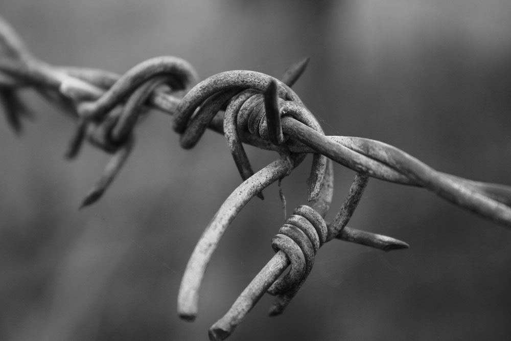 barbed wire