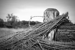 barbed wire