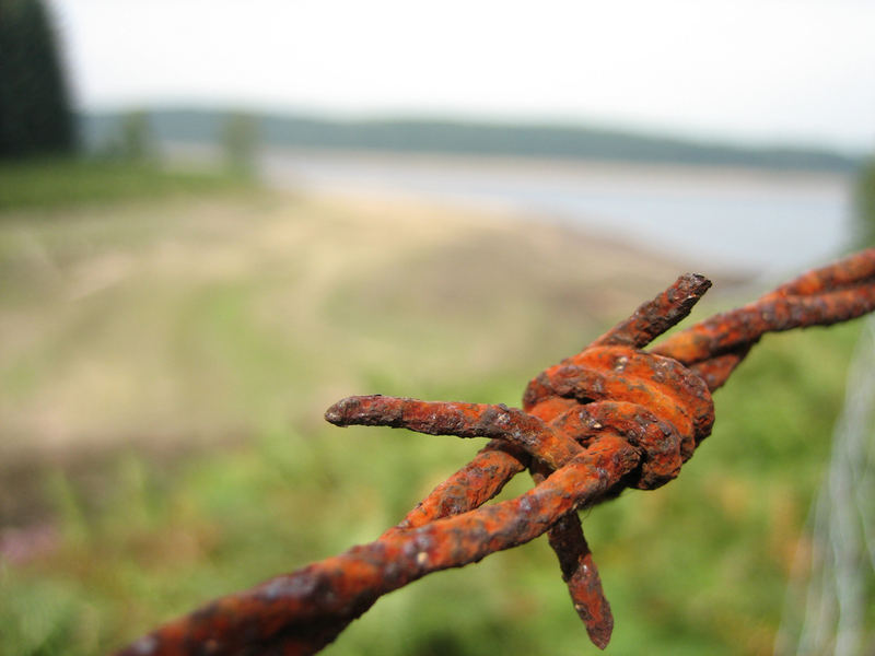 Barbed Wire