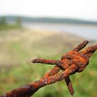 Barbed Wire