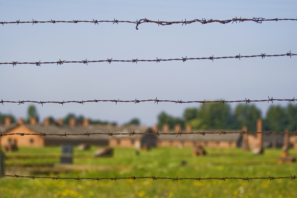 Barbed wire