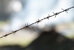 barbed wire