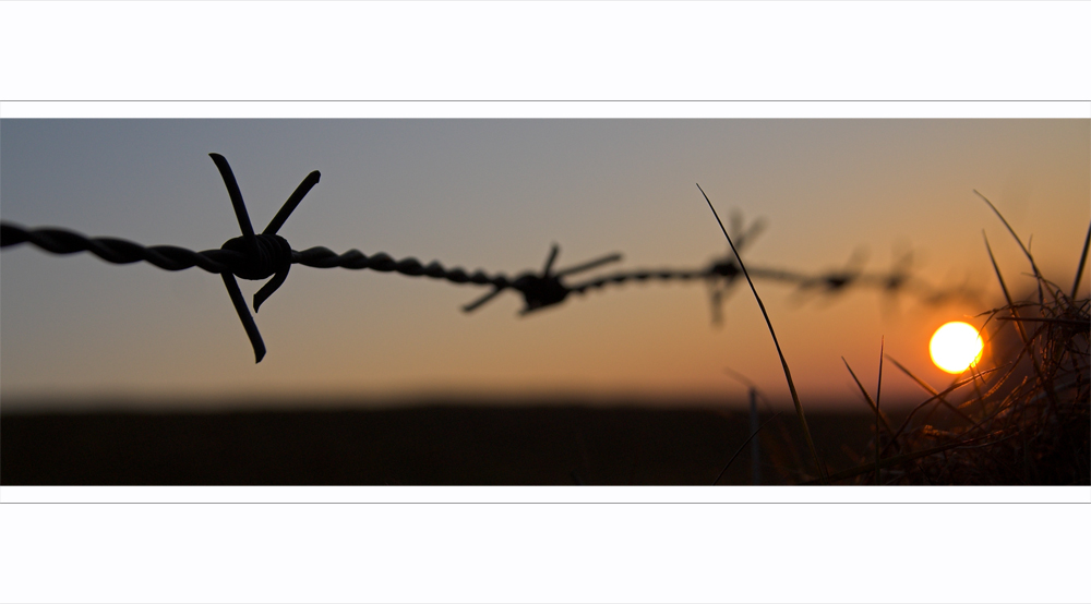 ~ barbed wire ~