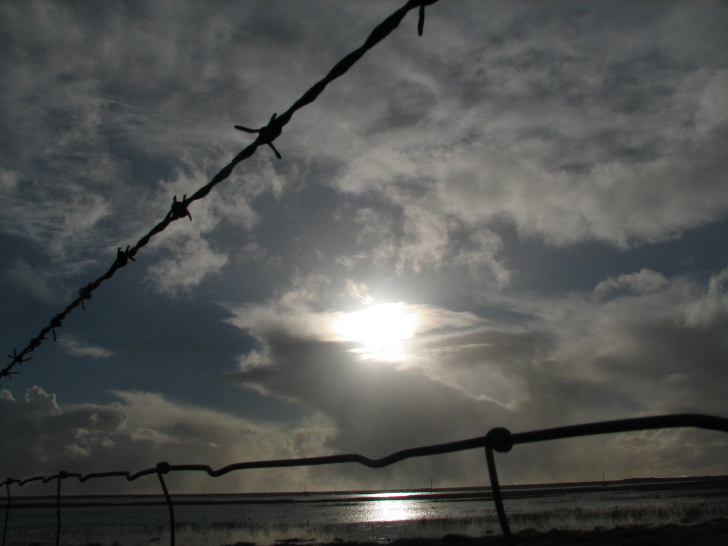 Barbed wire