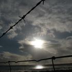 Barbed wire