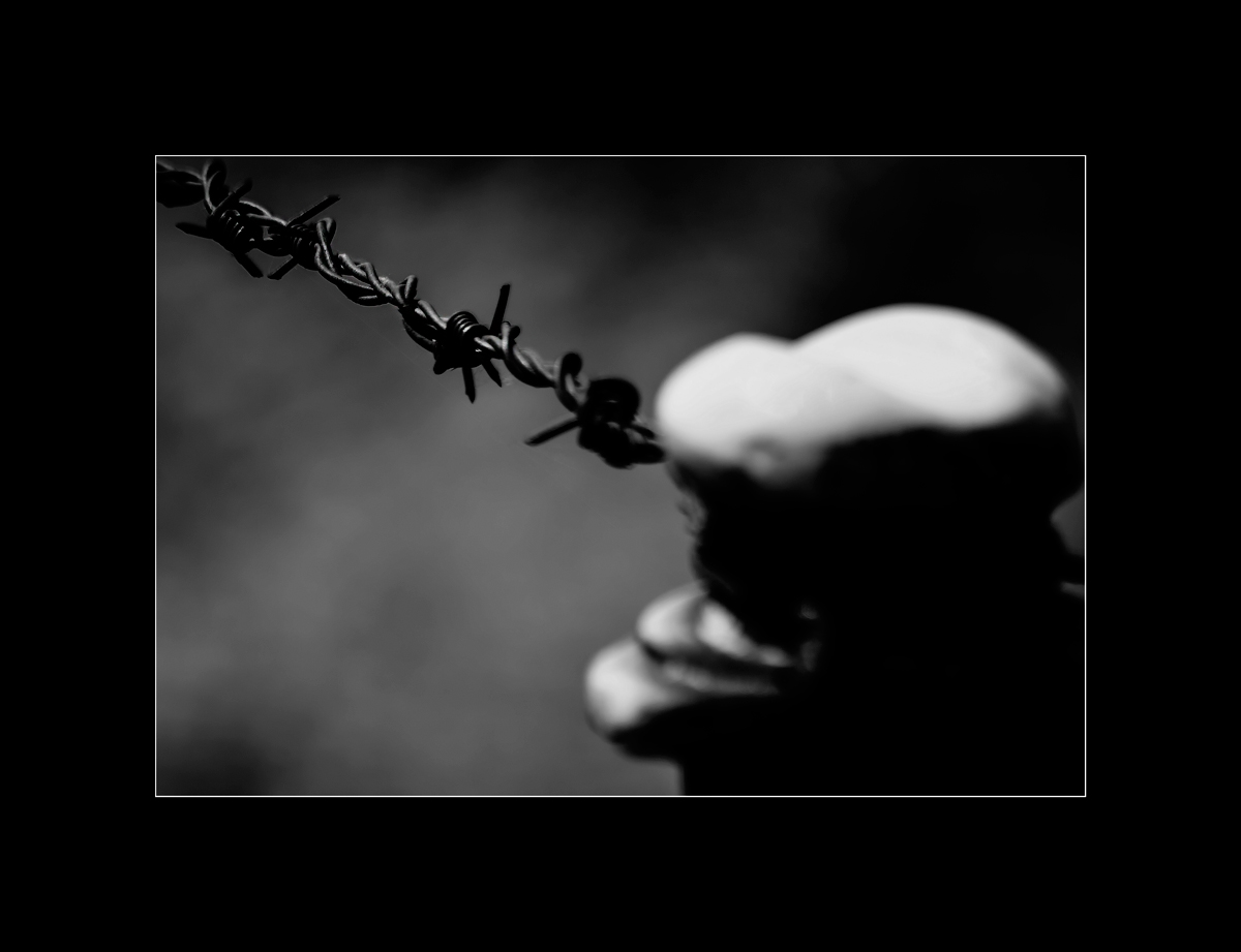 barbed wire