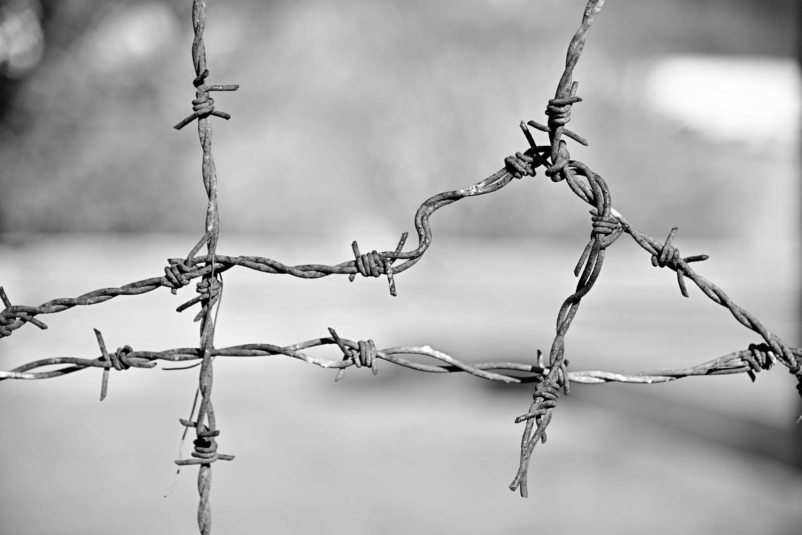 barbed wire, albania