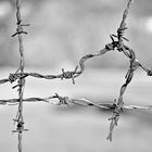 barbed wire, albania