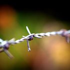 barbed wire