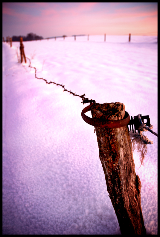 barbed wire