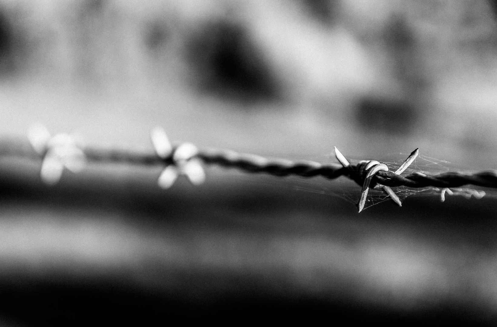 barbed wire