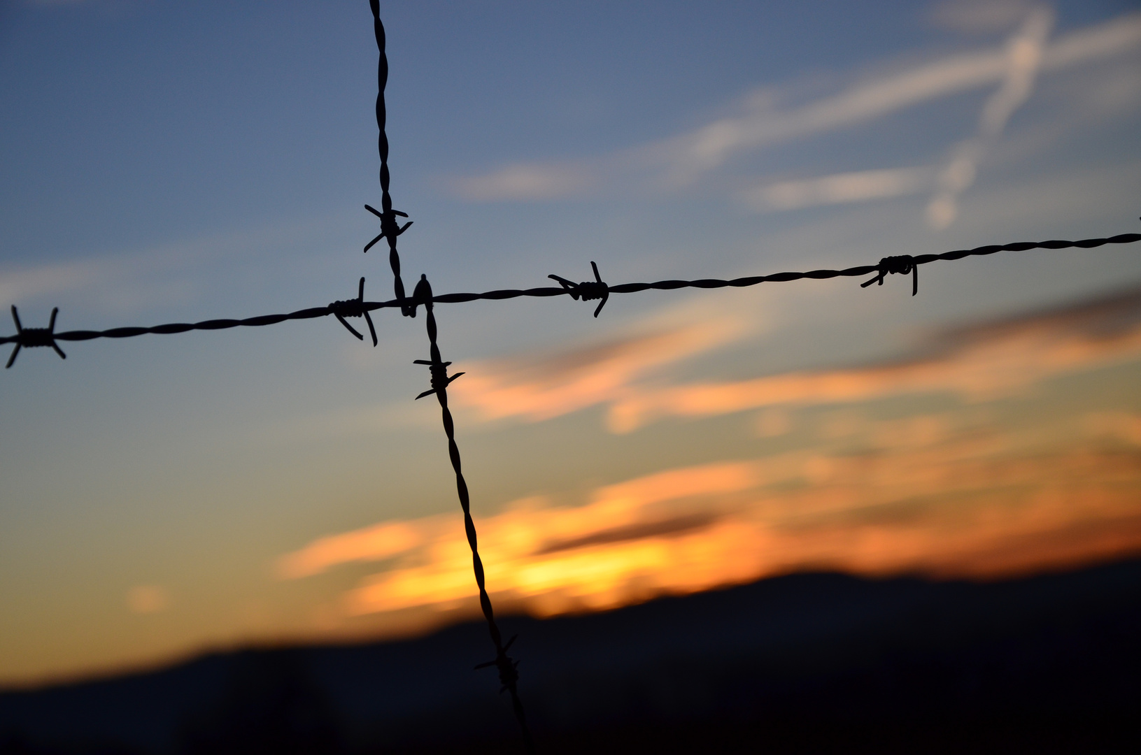 barbed wire