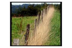 barbed wire fence