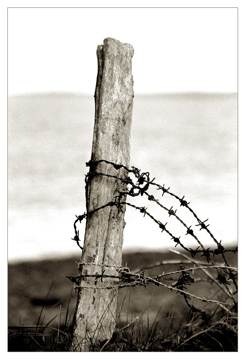 [ barbed wire - Irish version ]