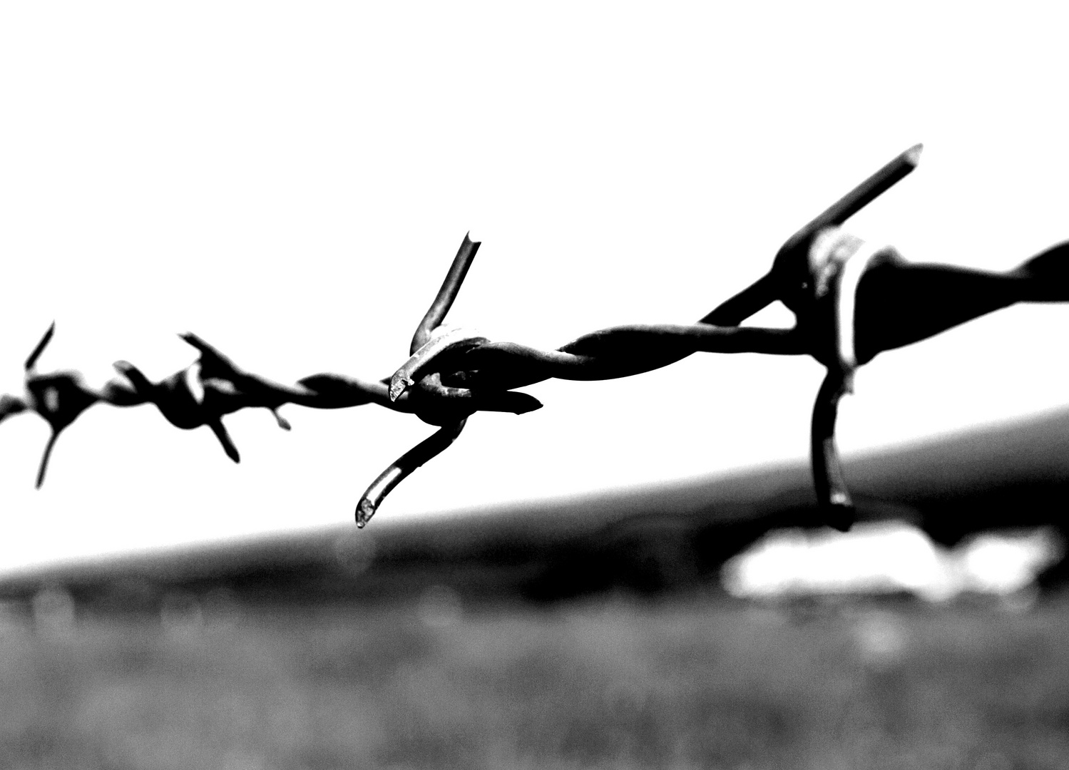 Barbed wire - Stacheldraht