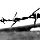 Barbed wire - Stacheldraht