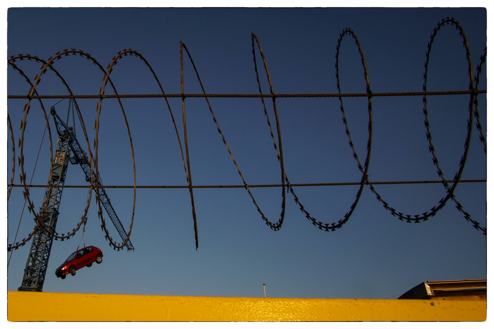 Barbed Wire_01