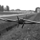 BarbedWire