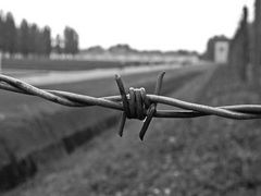 BarbedWire