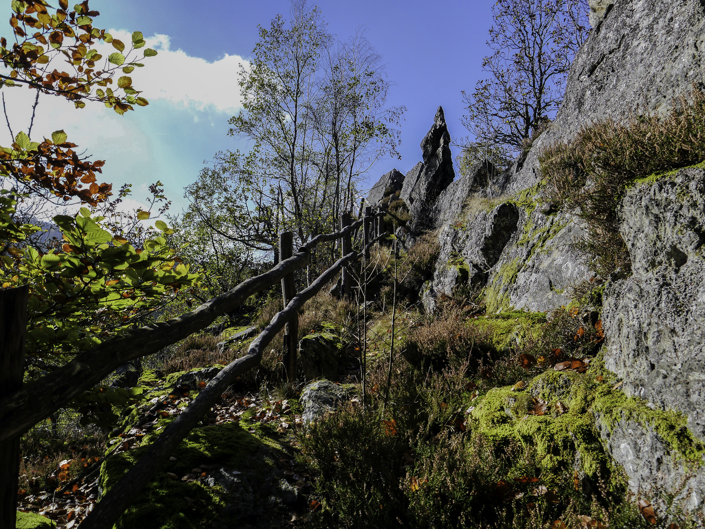 Barbeleayfelsen bei Burgen