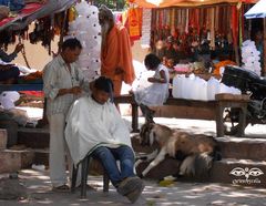 Barber Shop