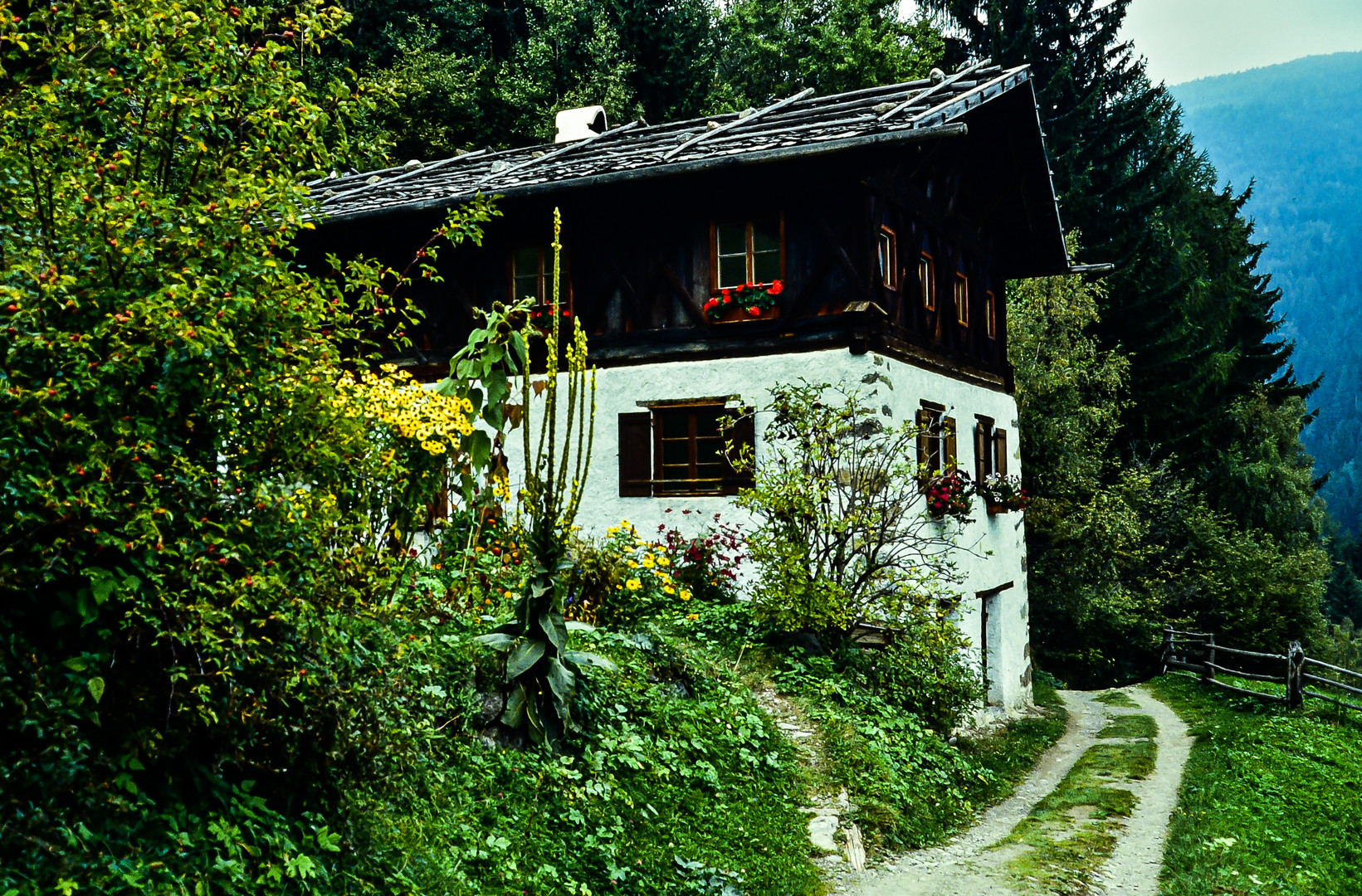 Barbian / Dreikirchen/ Südtirol..  .DSC_0368