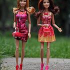 Barbie Fashionistas Summer & Teresa