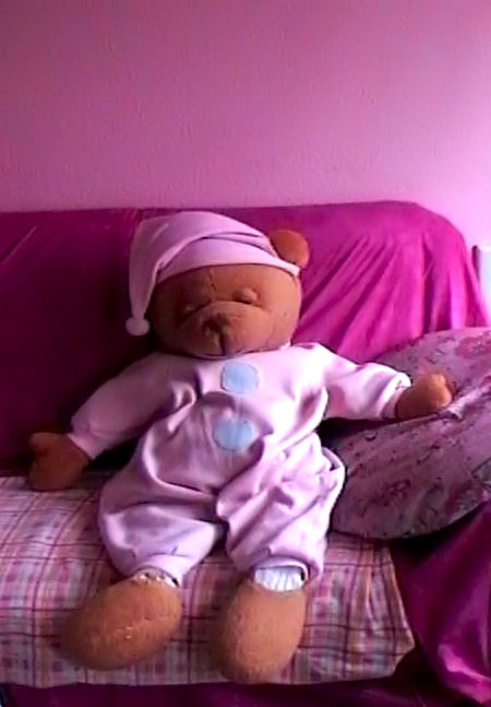 Barbie's Teddy