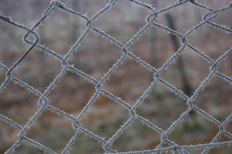 Barbwire in winter