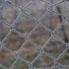 Barbwire in winter