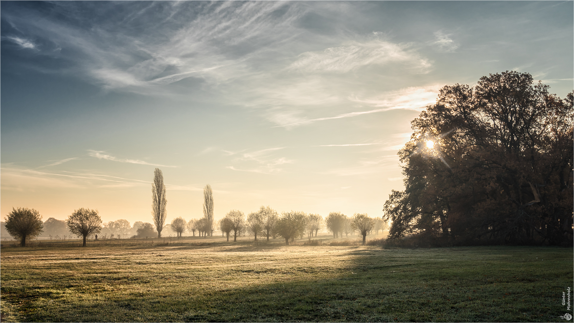 Barby, Elbwiesen am Morgen