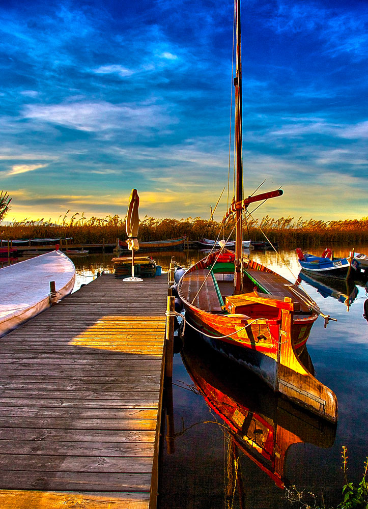 Barca en la Albufera