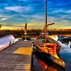 Barca en la Albufera