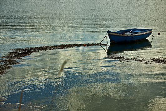 Barca en la ría