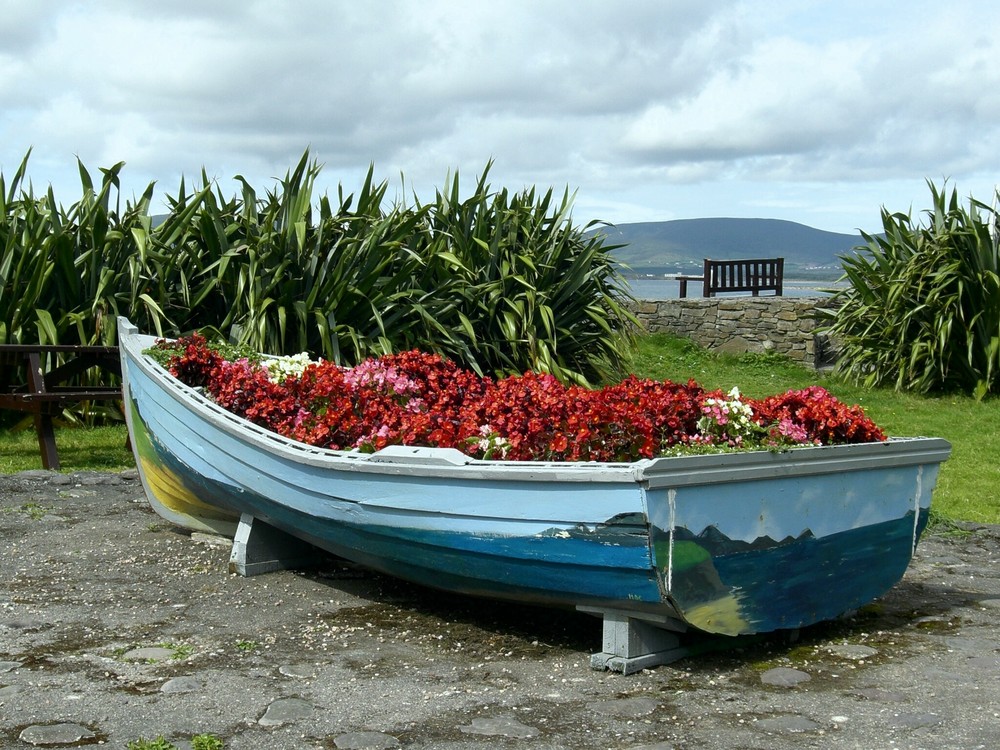 barca fiorita