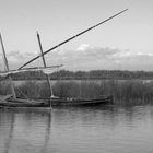 Barcas de l,Albufera