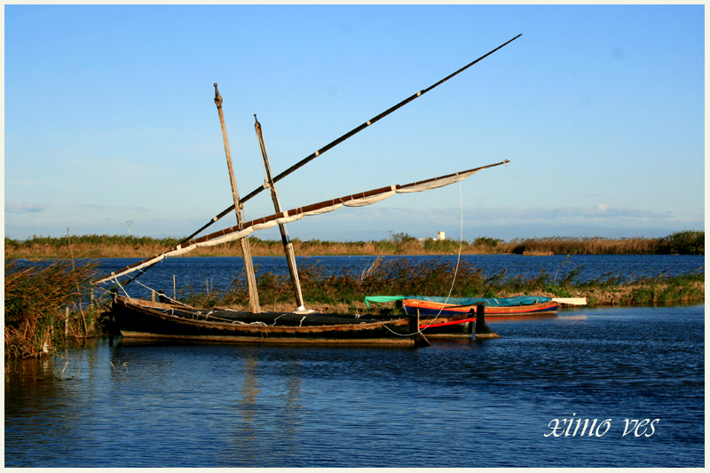 BARCAS DEL PALMAR