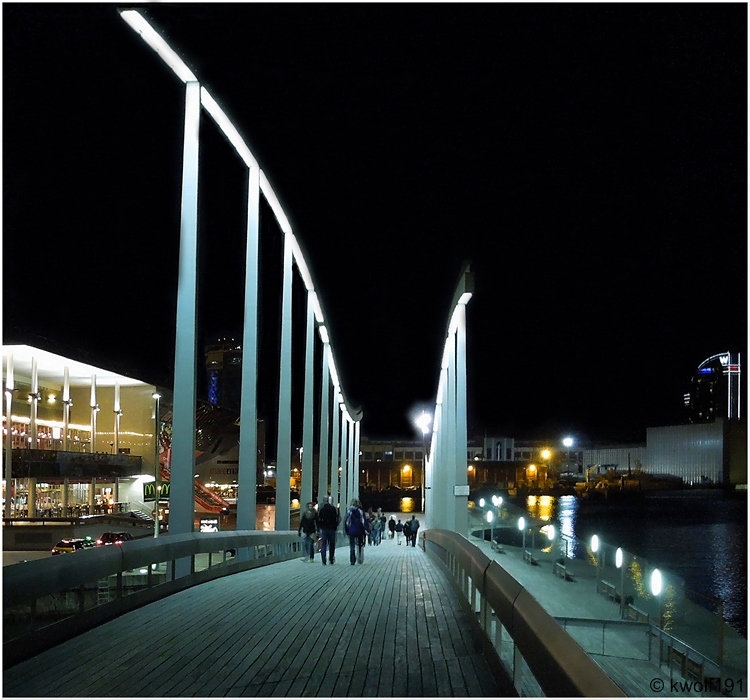 Barcelona 2013 - Rambla del Mar bei Nacht (2)